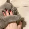 _diiij