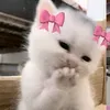gaby.brz17