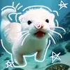 leximeowwa