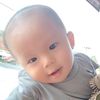 alivan.cell8