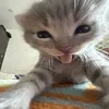 huesos_na_44lene