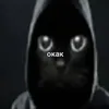 snejok159