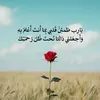xfh584
