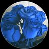 user670949012611