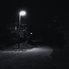fright_fanatic_
