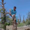 mazen84324