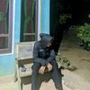 arjunanggara023