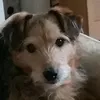 abartrrqfcw