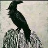 bleak.raven