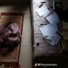 ayalkhaled