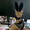 phantmlz0nk