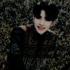 user16327572050441