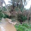 user4659060533603