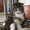 quynh_zinna98