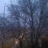 ismeteredzhebov