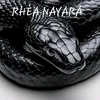 nayara.djhy