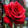 user2351800580771