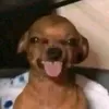 giangnguynbnh8