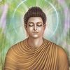 Buddha's Dhamma☸️