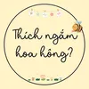 ✿ Thích ngắm hoa hông ✿