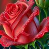 user7540233185022