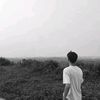 dittarrons_2