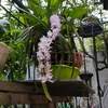tinnguyenhuy16
