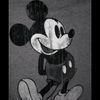 user61437517712748