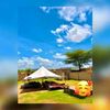 soumeya3401782833100