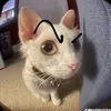 anh.th.cu.te8