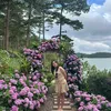 anhduyen_1985