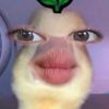 miaanggraini36