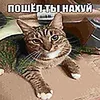 vadi.m_687