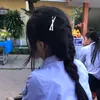 kiwiicuti