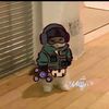 erdinho35-