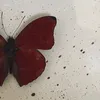 zainab4_7