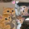 itzz_fatma_