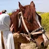 al.ahzan.bahr