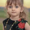 omzxcv