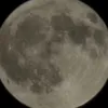 br0kz