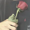 si_x.5