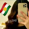 1.llmj