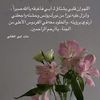 user71504624940756