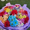 user4323034617703