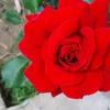 user3314194302286