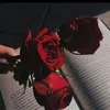mo_mrh8