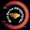 birdderna