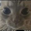 gloobynugget