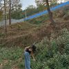 sadiksyathapa