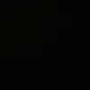 tem__negro15